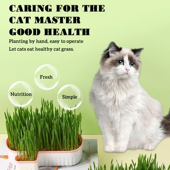 Выдолбленный ящик для сеялки кошачьей травы, Многослойный контейнер для выращивания кошачьей травы, инструмент для выращивания растений