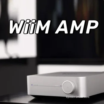 Многоканальный потоковый усилитель WiiM AMP с поддержкой AirPlay2, Chromecast, HDMI, Amazon Music, Tidaland и многого другого - Deep Sky Gray
