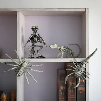 Скелет летучей мыши-паука на Хэллоуин, пластиковые Страшные кости, Подвижная модель животного, украшение для вечеринки в честь Хэллоуина в Доме с привидениями Pr I6Z4